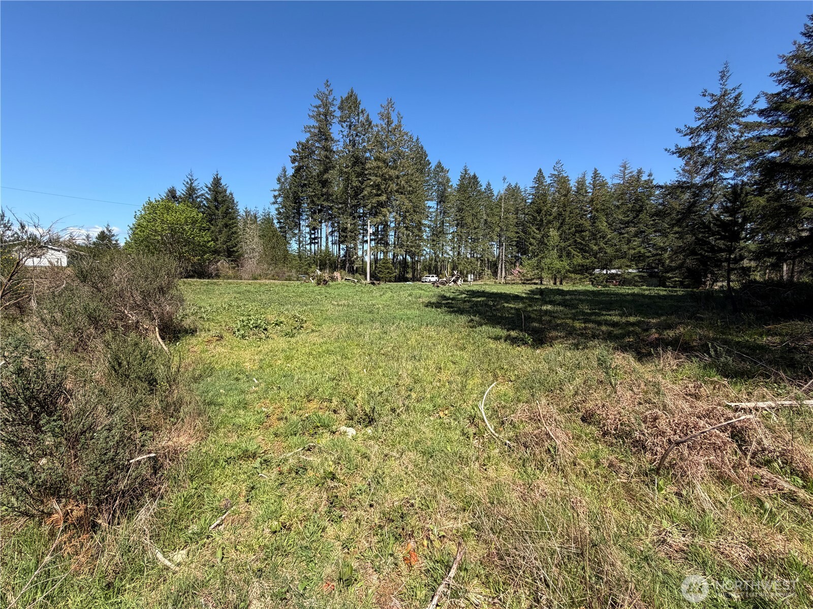 170 W Blackberry Lane Elma WA 98541