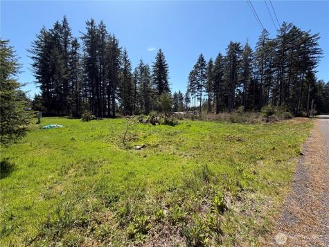 170 W Blackberry Lane Elma WA 98541