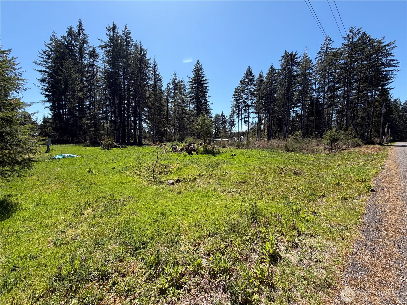 170 W Blackberry Lane Elma WA 98541