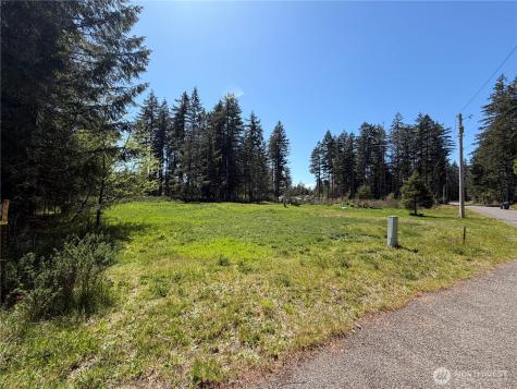 170 W Blackberry Lane Elma WA 98541
