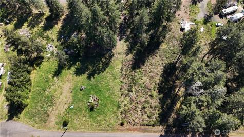 170 W Blackberry Lane Elma WA 98541