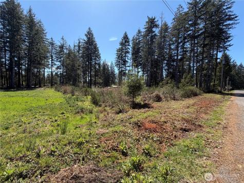 170 W Blackberry Lane Elma WA 98541