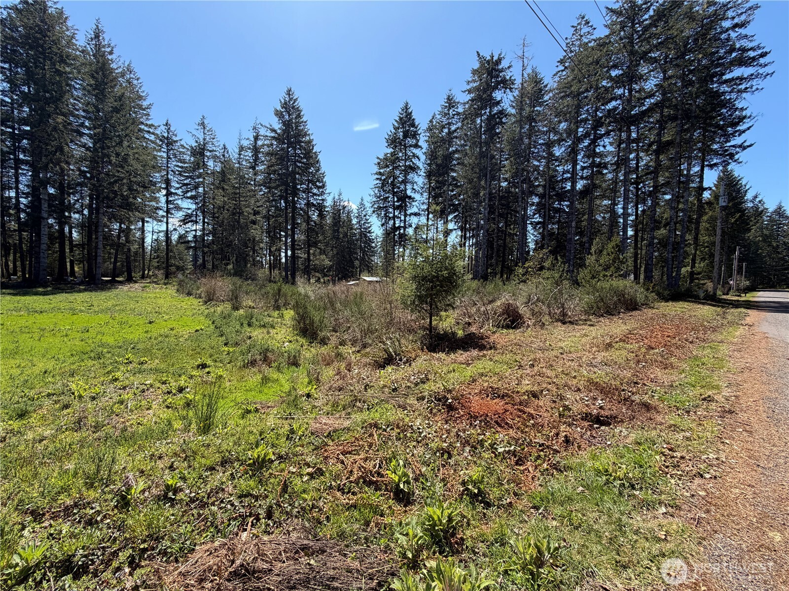 170 W Blackberry Lane Elma WA 98541