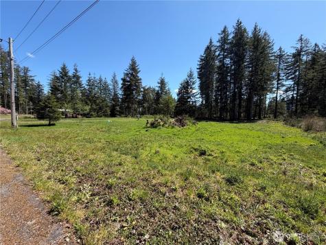 170 W Blackberry Lane Elma WA 98541