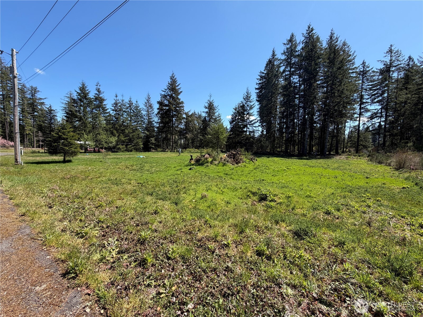 170 W Blackberry Lane Elma WA 98541
