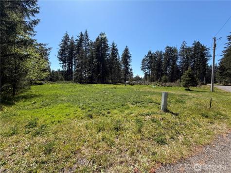 170 W Blackberry Lane Elma WA 98541