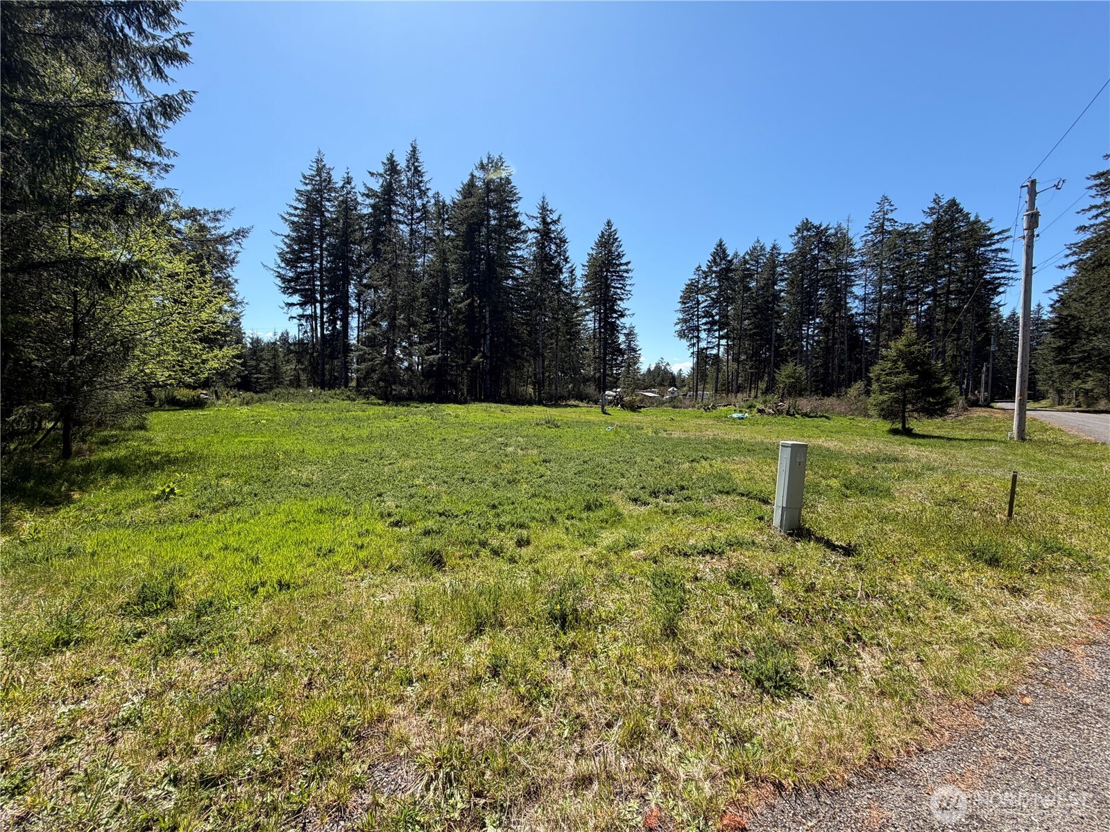 170 W Blackberry Lane Elma WA 98541