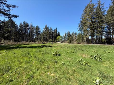170 W Blackberry Lane Elma WA 98541