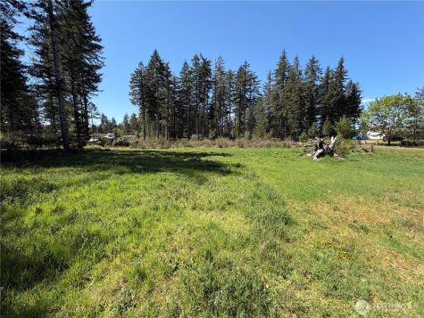 170 W Blackberry Lane Elma WA 98541