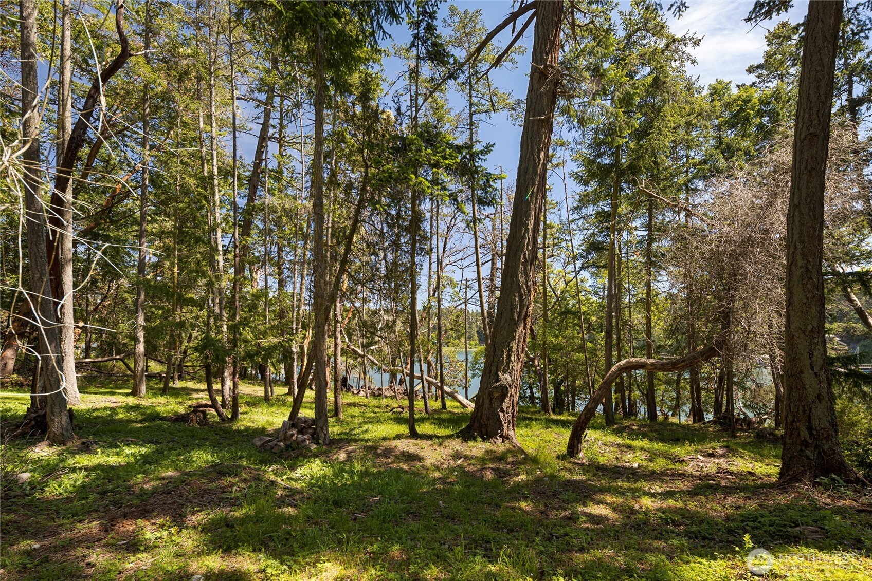 0 De Haro Lane Friday Harbor WA 98250
