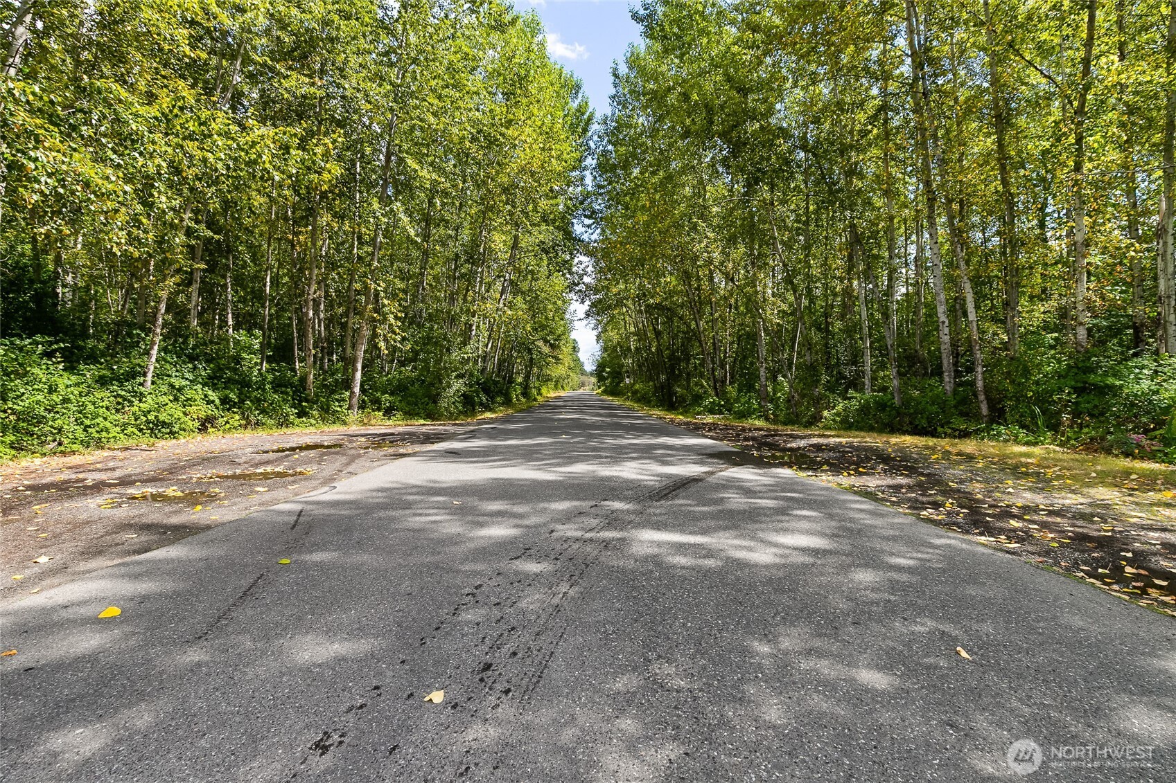 115 Tremont Avenue Bellingham WA 98226
