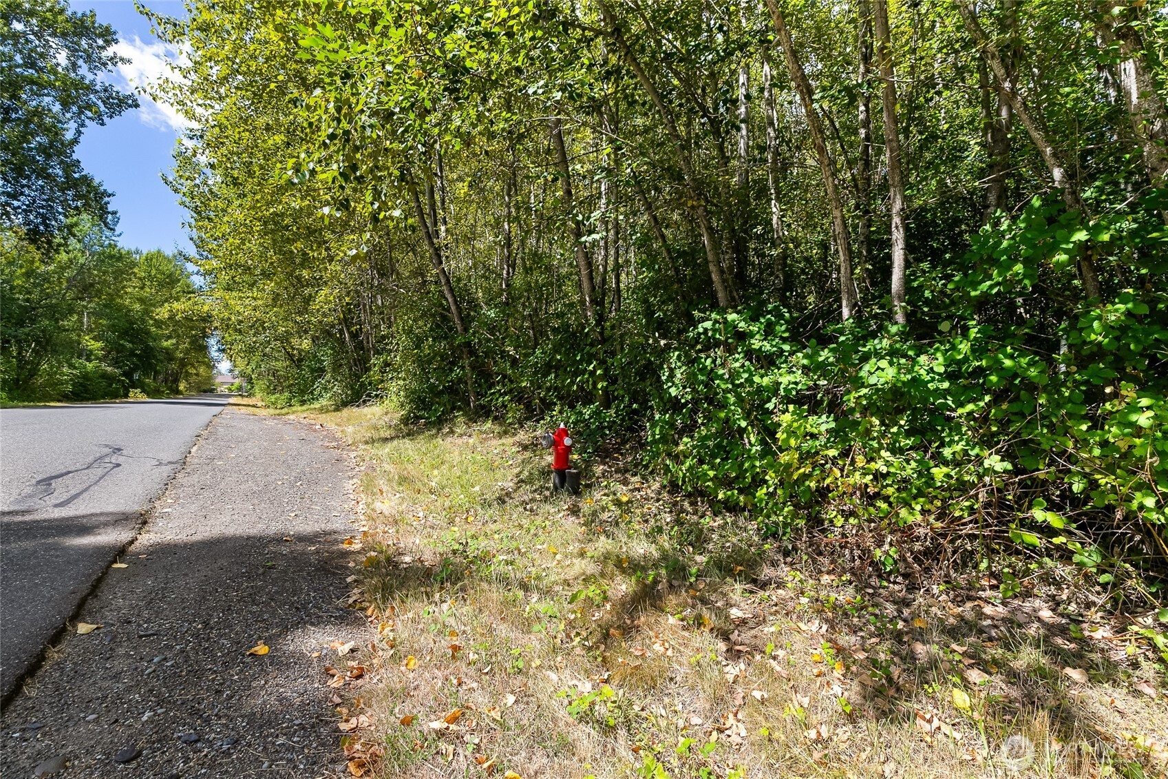 115 Tremont Avenue Bellingham WA 98226