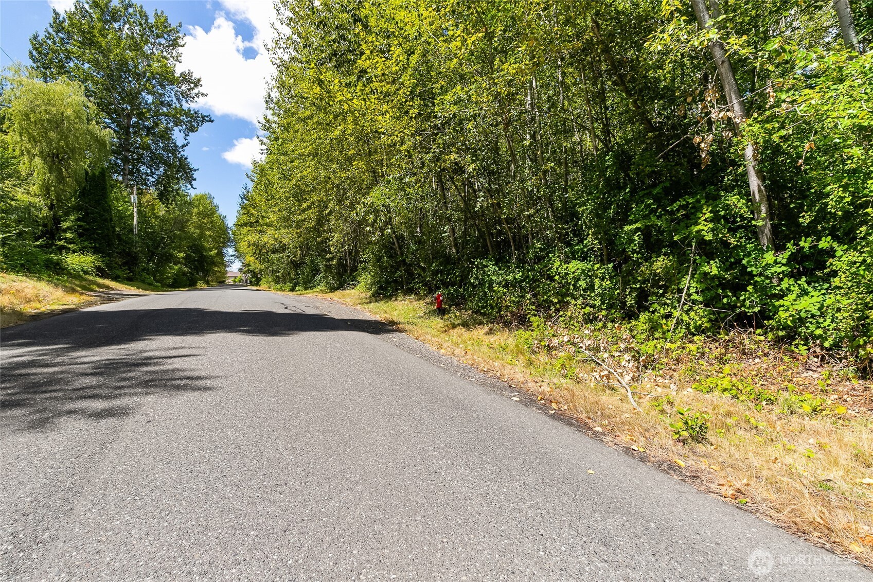 115 Tremont Avenue Bellingham WA 98226