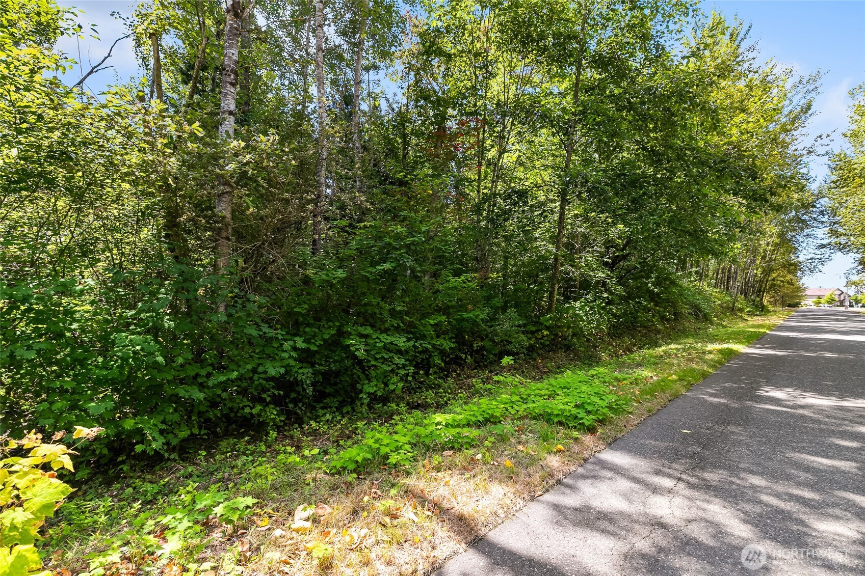 115 Tremont Avenue Bellingham WA 98226