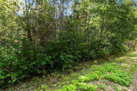 115 Tremont Avenue Bellingham WA 98226