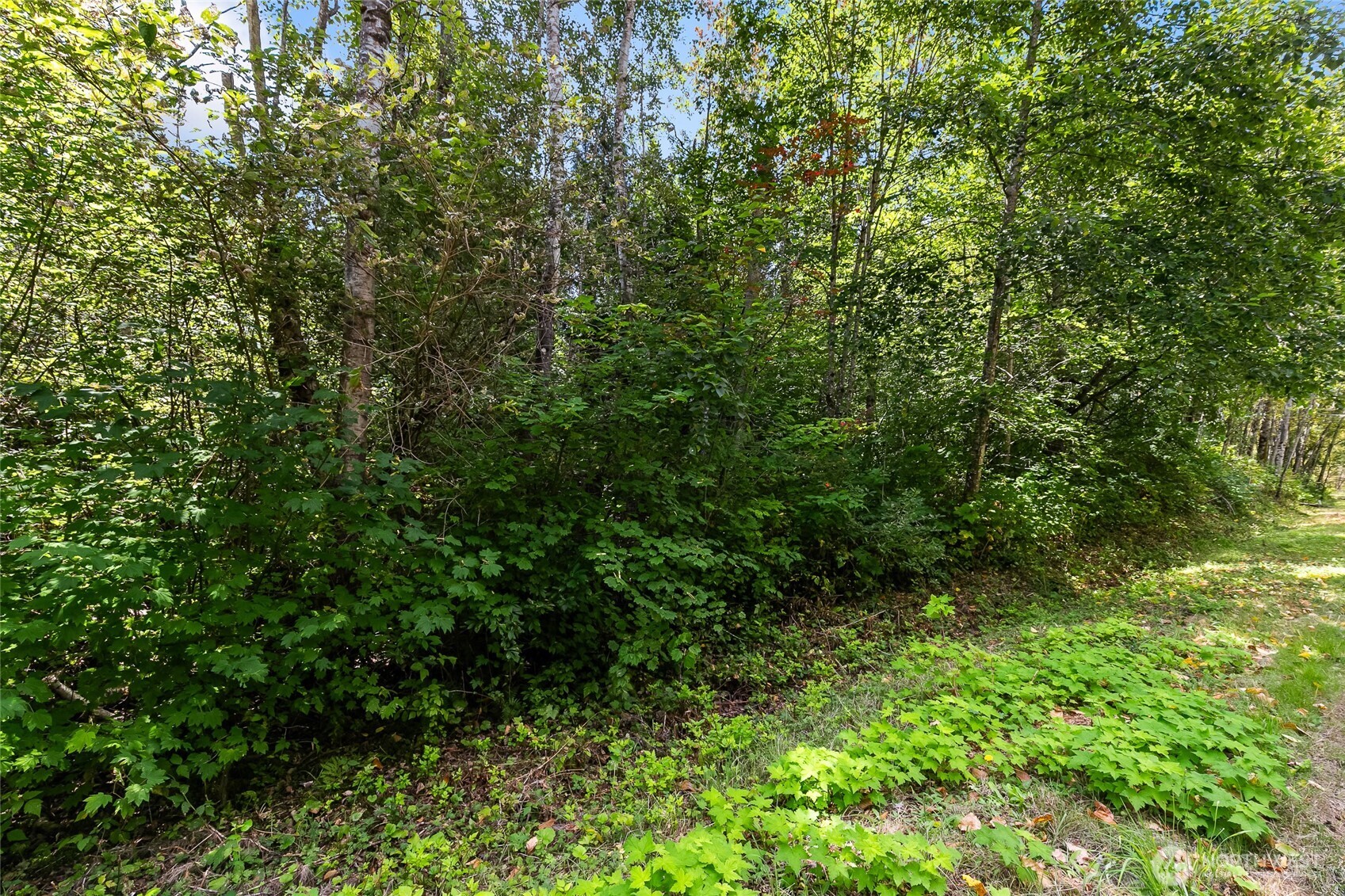 115 Tremont Avenue Bellingham WA 98226