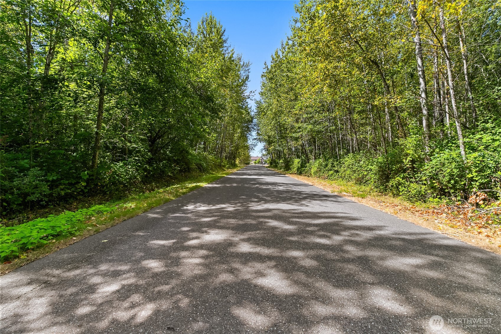 115 Tremont Avenue Bellingham WA 98226
