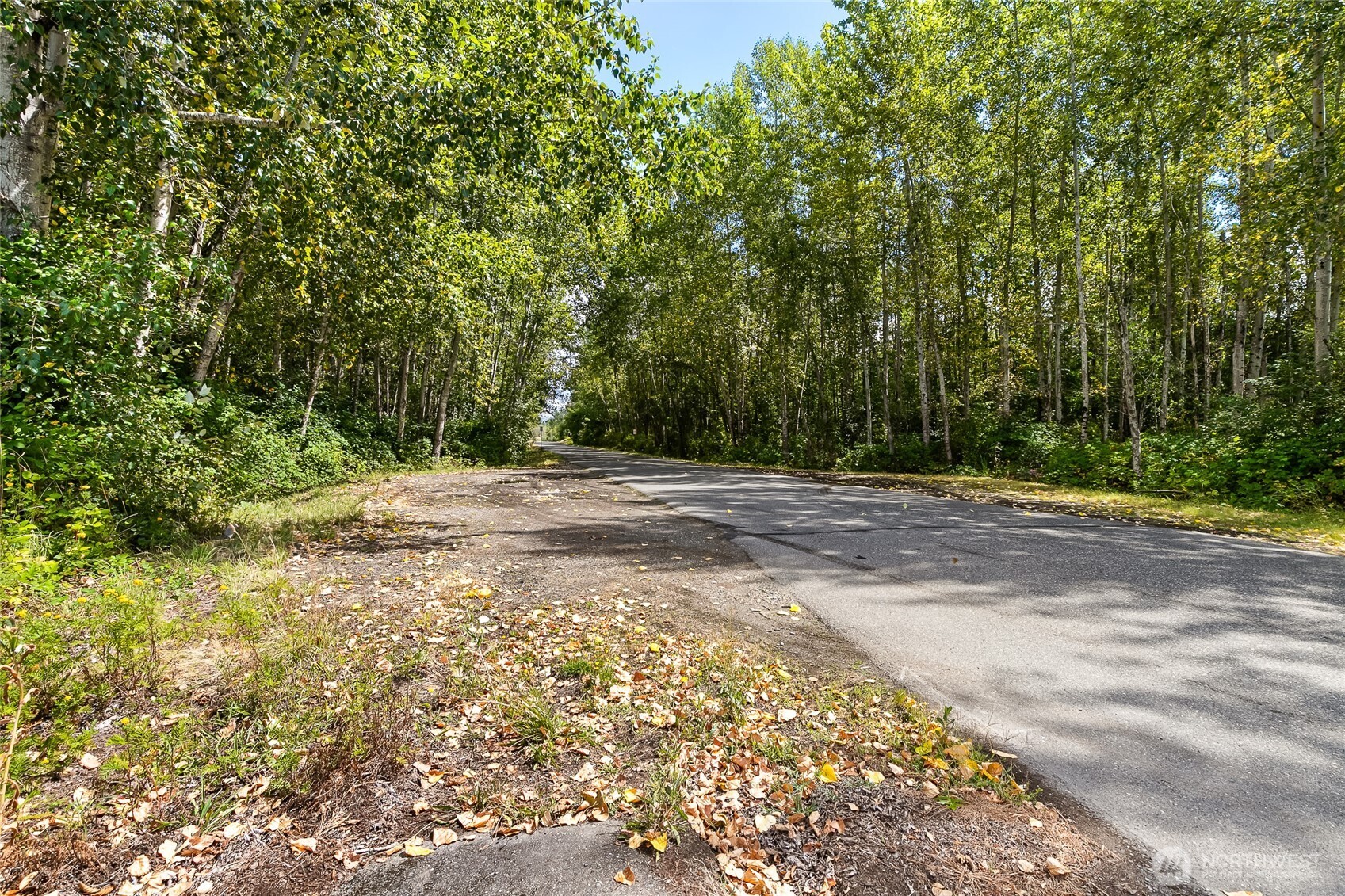 115 Tremont Avenue Bellingham WA 98226