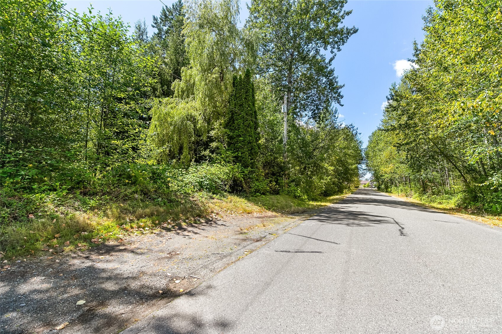 115 Tremont Avenue Bellingham WA 98226