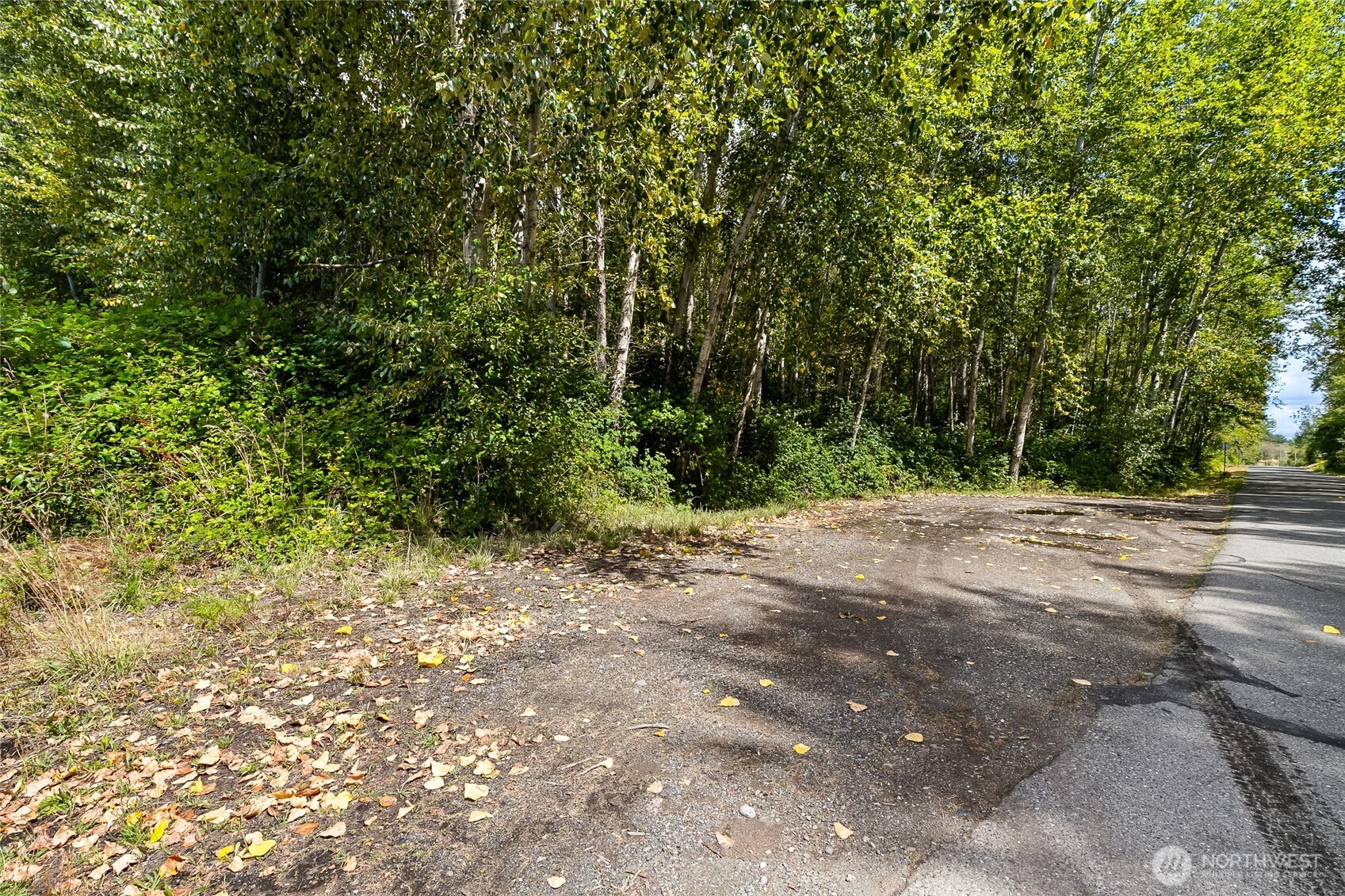 115 Tremont Avenue Bellingham WA 98226