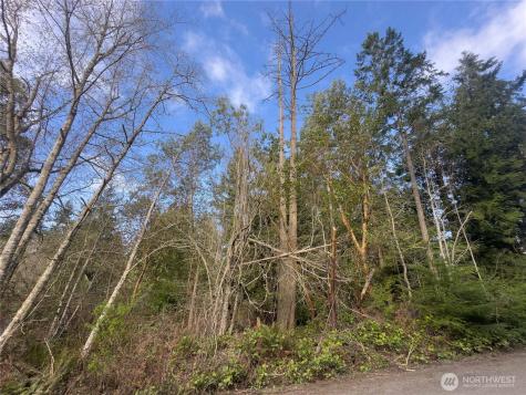 222 Law Avenue Port Townsend WA 98368