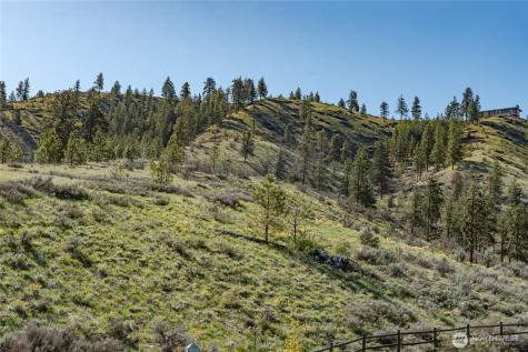 282 Hawks Ridge Road Chelan WA 98816