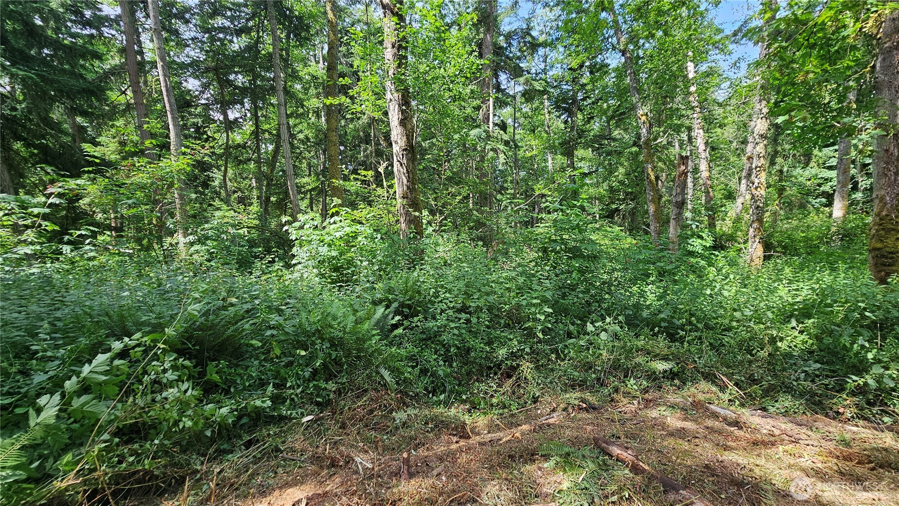 0 Dove Drive Camano Island WA 98282
