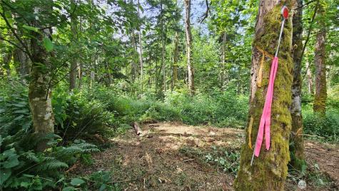 0 Dove Drive Camano Island WA 98282
