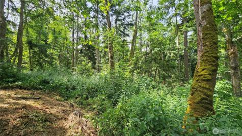 0 Dove Drive Camano Island WA 98282