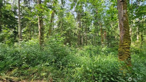 0 Dove Drive Camano Island WA 98282