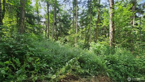 0 Dove Drive Camano Island WA 98282