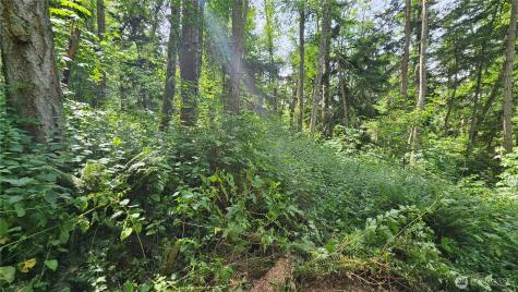 0 Dove Drive Camano Island WA 98282