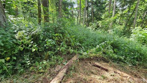 0 Dove Drive Camano Island WA 98282