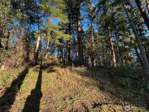 0 Lemolo Shore, Parcel 4-019 Drive NE Poulsbo WA 98370