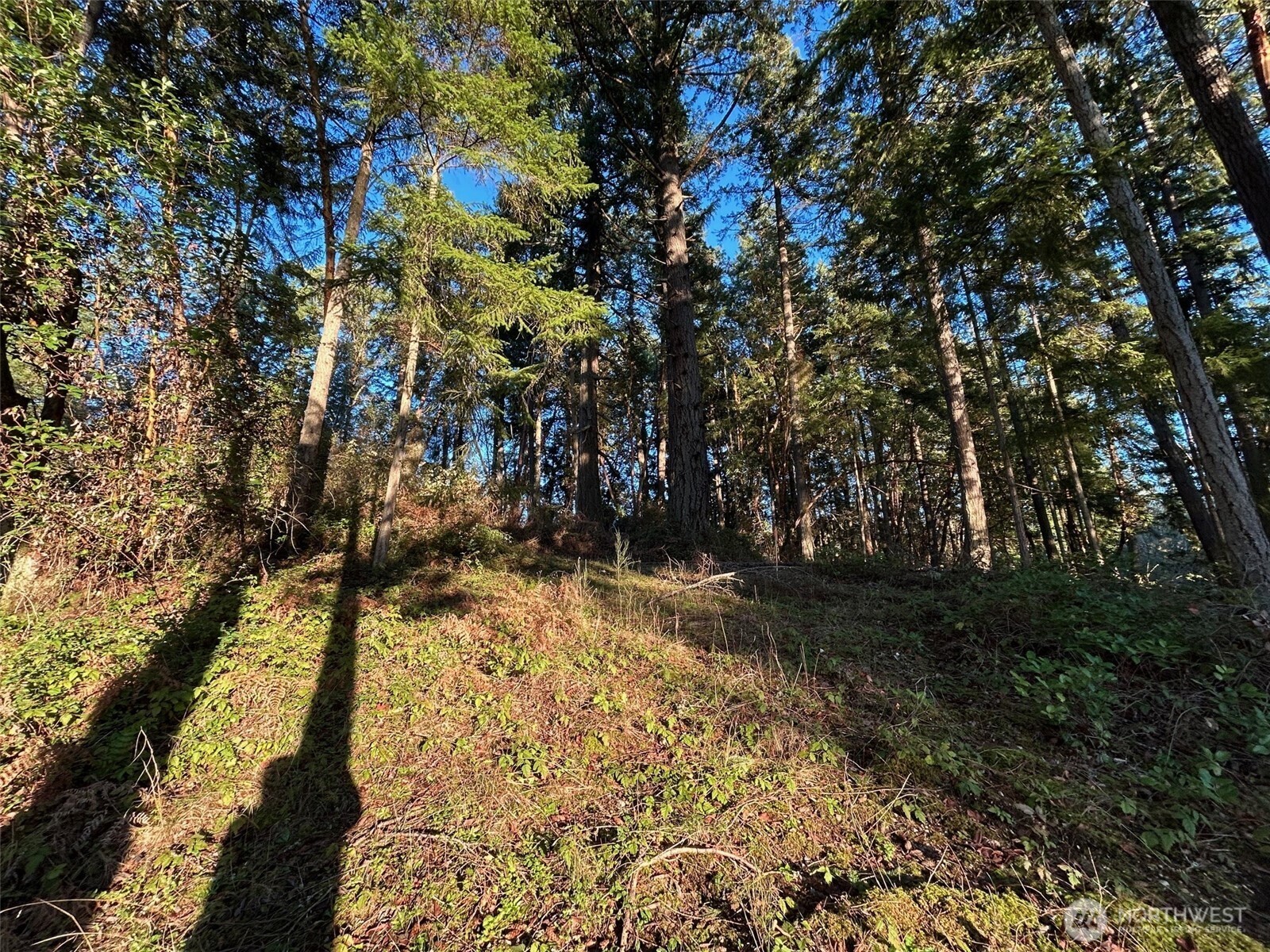 0 Lemolo Shore, Parcel 4-019 Drive NE Poulsbo WA 98370