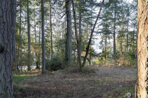 0 Lemolo Shore, Parcel 4-019 Drive NE Poulsbo WA 98370