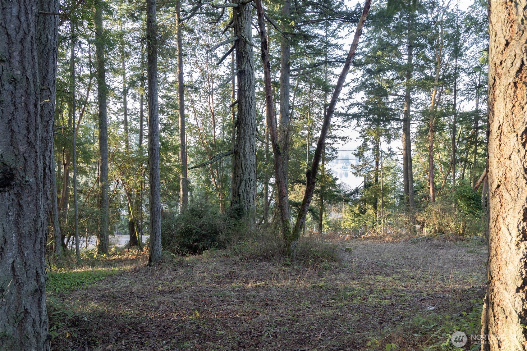 0 Lemolo Shore, Parcel 4-019 Drive NE Poulsbo WA 98370