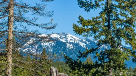 39 Gold Leaf Lane Cle Elum WA 98922