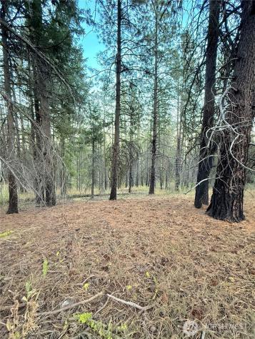 0 Tbd Buzzard Lake Road Okanogan WA 98840