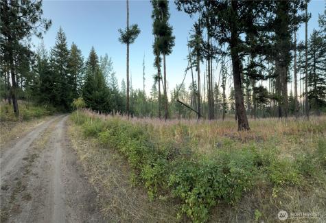0 Tbd Buzzard Lake Road Okanogan WA 98840