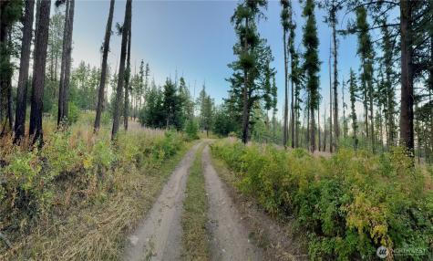0 Tbd Buzzard Lake Road Okanogan WA 98840