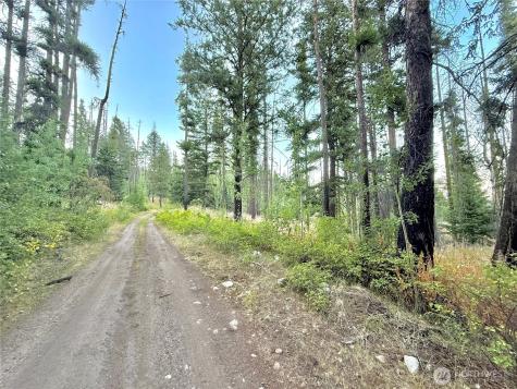 0 Tbd Buzzard Lake Road Okanogan WA 98840