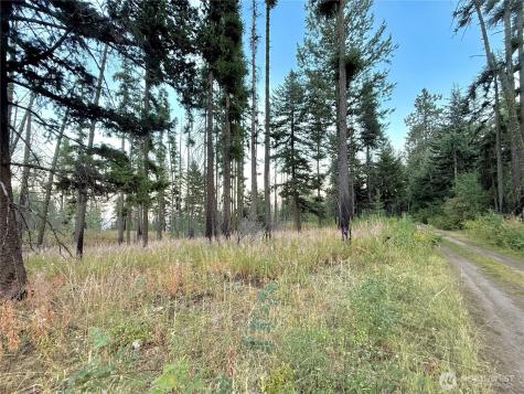 0 Tbd Buzzard Lake Road Okanogan WA 98840