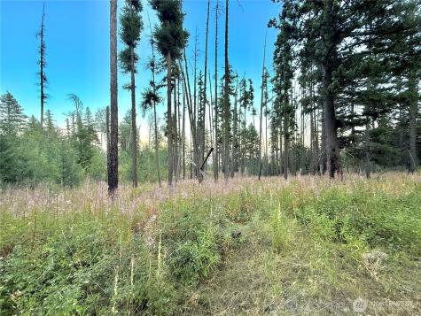 0 Tbd Buzzard Lake Road Okanogan WA 98840