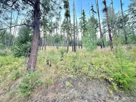 0 Tbd Buzzard Lake Road Okanogan WA 98840