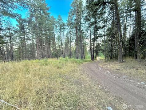 0 Tbd Buzzard Lake Road Okanogan WA 98840