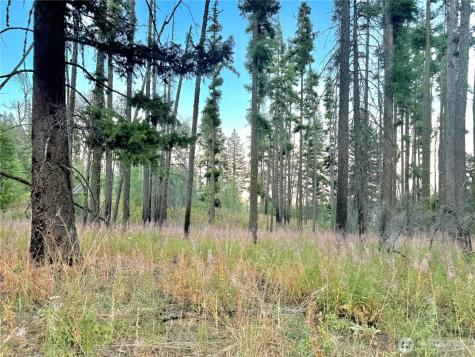 0 Tbd Buzzard Lake Road Okanogan WA 98840