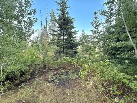 0 Tbd Buzzard Lake Road Okanogan WA 98840