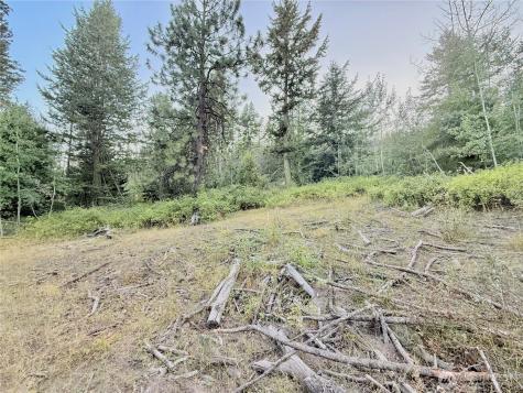 0 Tbd Buzzard Lake Road Okanogan WA 98840