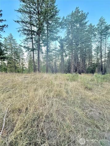 0 Tbd Buzzard Lake Road Okanogan WA 98840